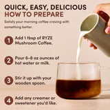 Dark Roast Starter Kit | Zephyr