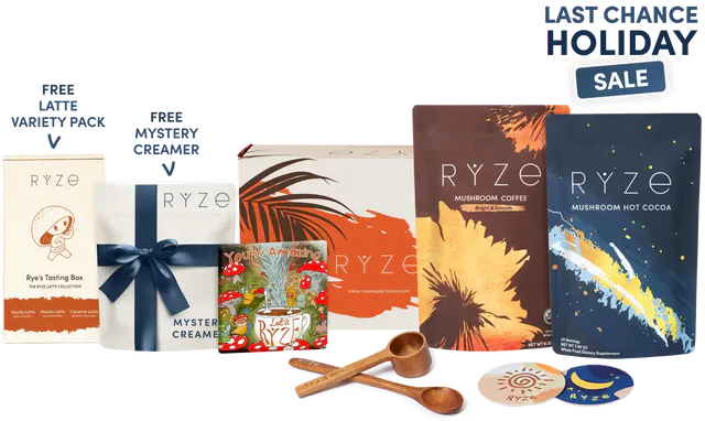 Day + Night Bundle | Laurel