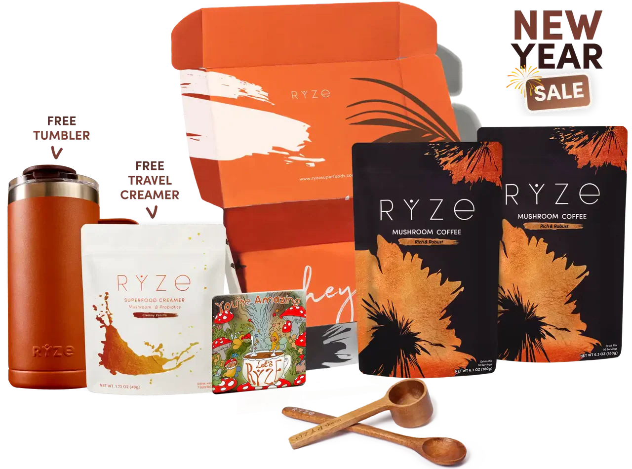 Dark Roast Starter Kit | Zephyr