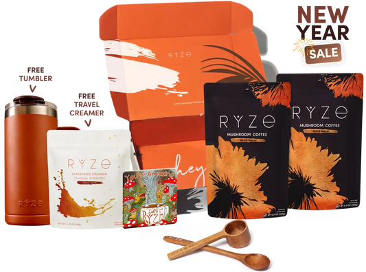 Dark Roast Starter Kit | Zephyr