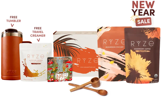 Lasting Energy Bundle | Yarrow