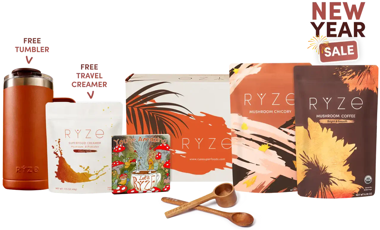 Lasting Energy Bundle | Glen