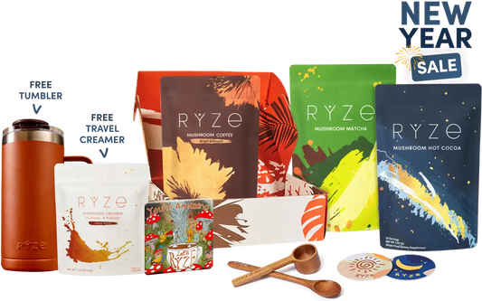 Ultimate Day + Night Bundle | Glade